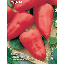 УДАЧА