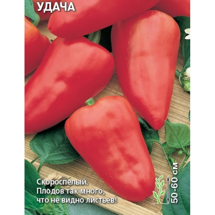 УДАЧА