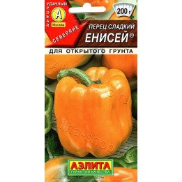 ЕНИСЕЙ
