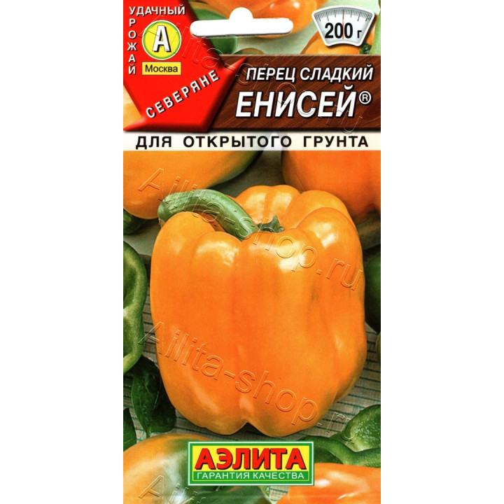 ЕНИСЕЙ