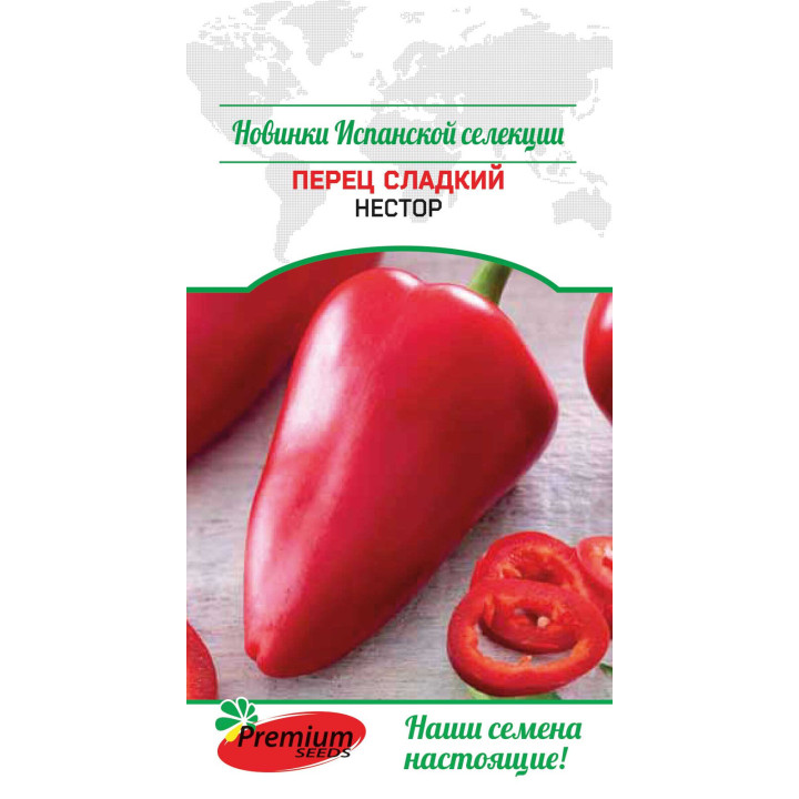 НЕСТОР