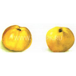 Куйбышевское