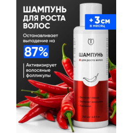 КАСТОР