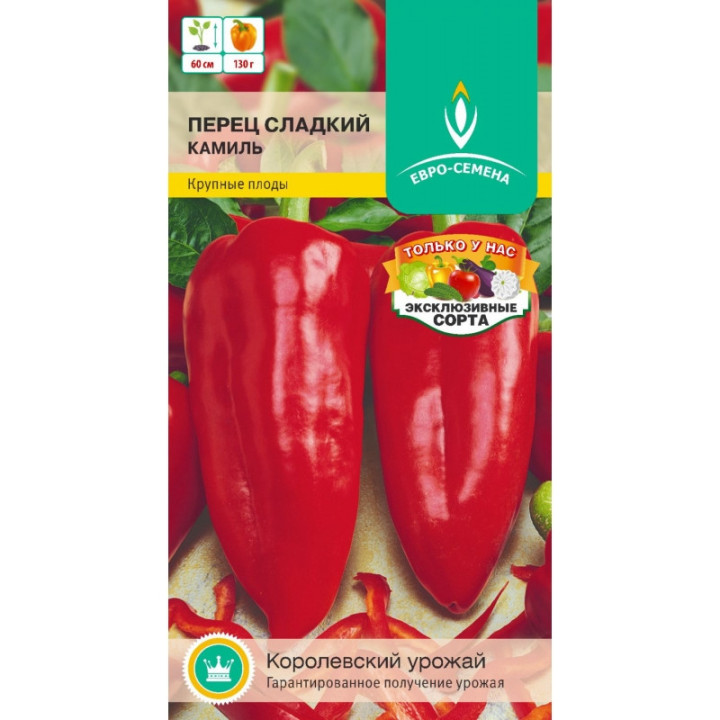 КАМИЛЬ