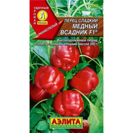 МЕДНЫЙ ВСАДНИК
