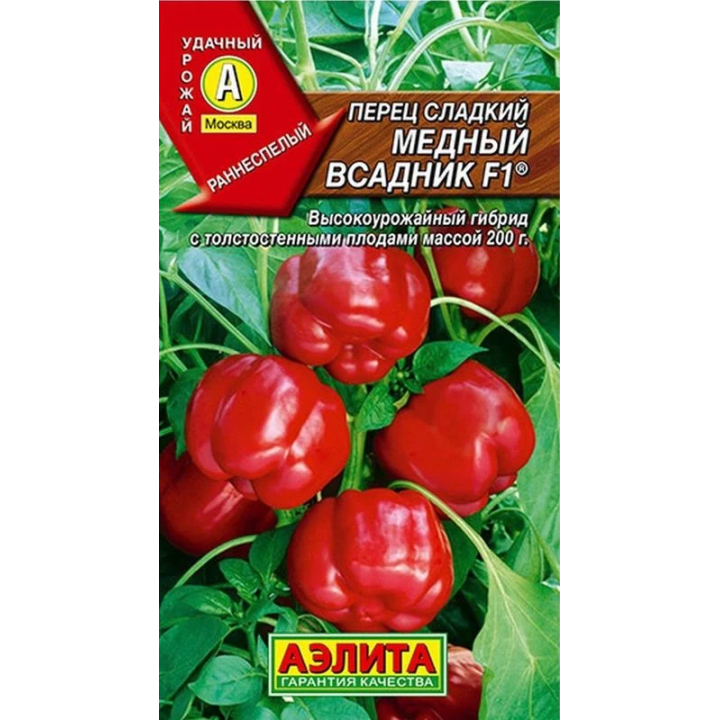 МЕДНЫЙ ВСАДНИК
