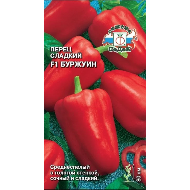 БУРЖУИН