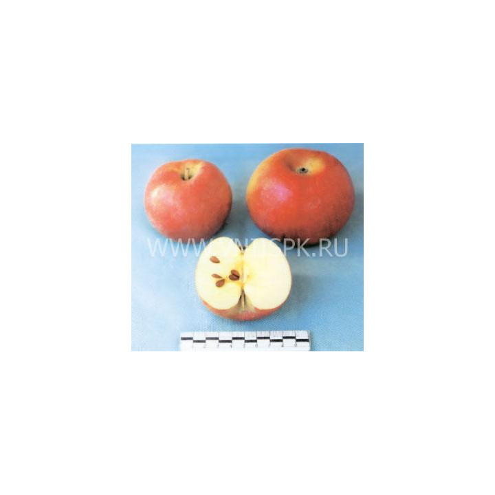 Ламбурне (Лорд Ламбурне)