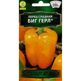 БИГ ГЕРЛ
