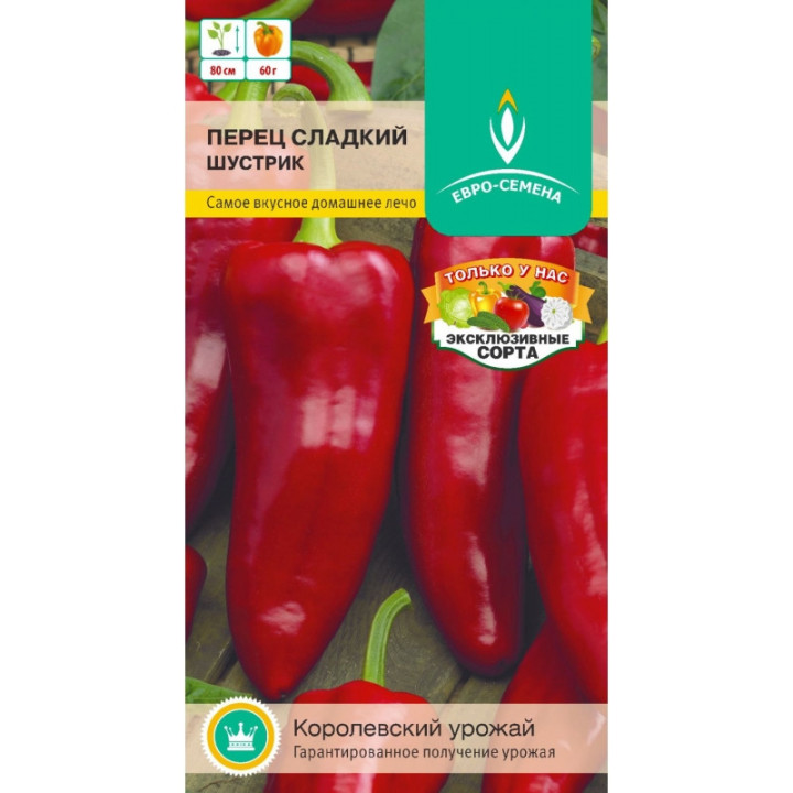 ШУСТРИК