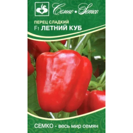 ЛЕТНИЙ КУБ