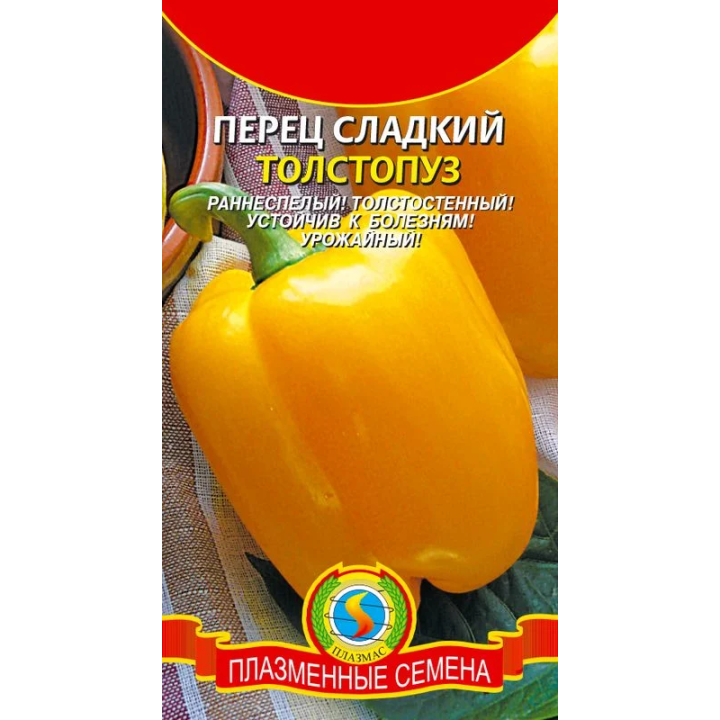 ТОЛСТОПУЗ