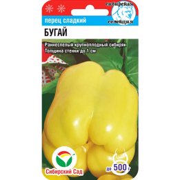 БУГАЙ