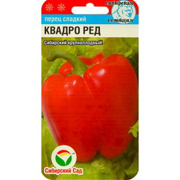 КВАДРОРЕД