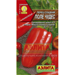 ПОЛЕ ЧУДЕС