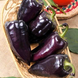 ЧЕРНЫЙ САХАР
