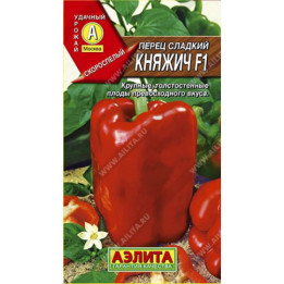 КНЯЖИЧ