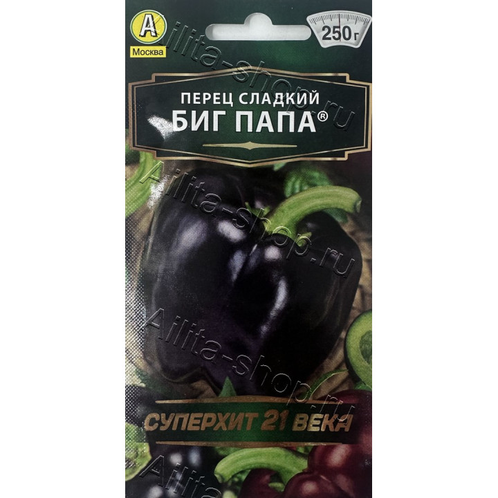 БИГ ПАПА