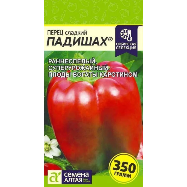 ПАДИШАХ