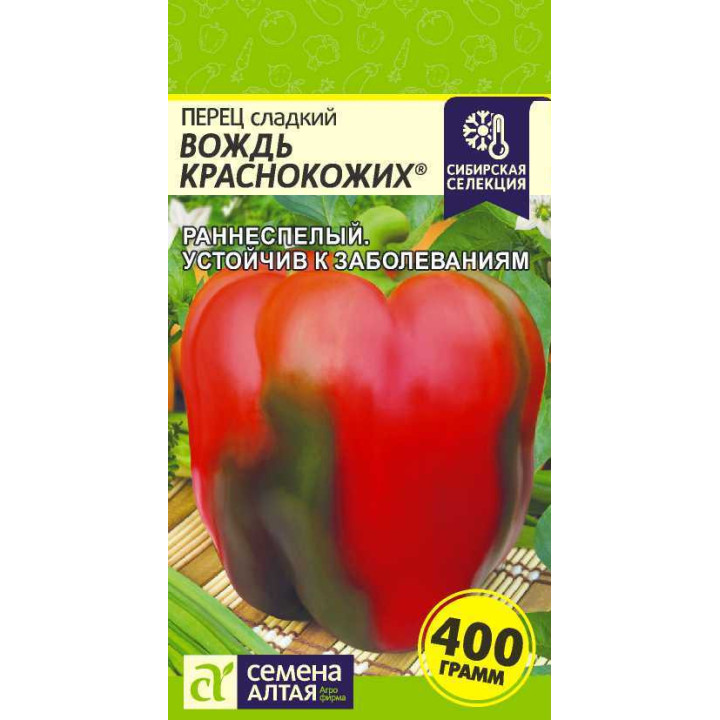 ВОЖДЬ КРАСНОКОЖИХ