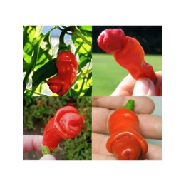 УДАЛЕЦ