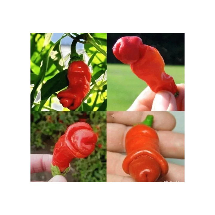 УДАЛЕЦ