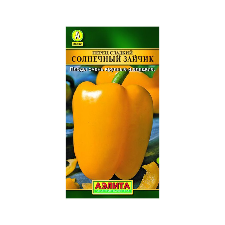 СОЛНЕЧНЫЙ ЗАЙЧИК
