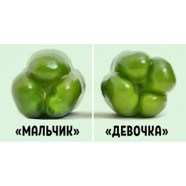 ПАРНИШКА