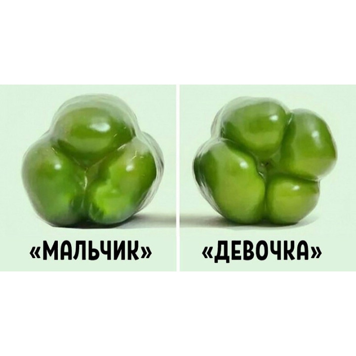 ПАРНИШКА