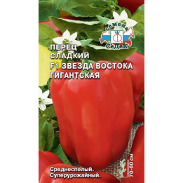 ЗВЕЗДА ВОСТОКА