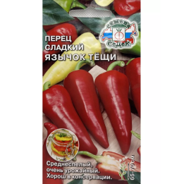 ЯЗЫЧОК ТЕЩИ