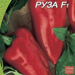 РУЗА