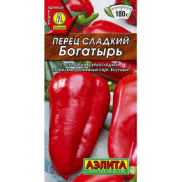 БОГАТЫРЬ