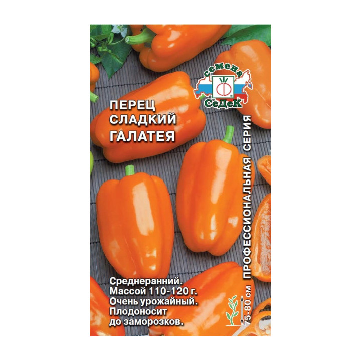 ГАЛАТЕЯ