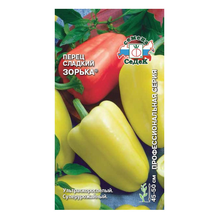 ЗОРЬКА