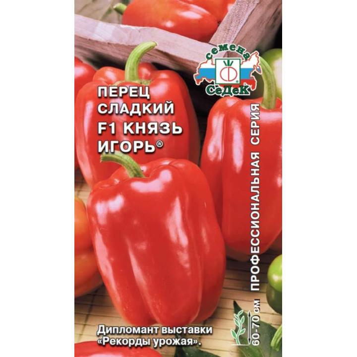 КНЯЗЬ ИГОРЬ