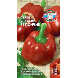 ПОНЧИК