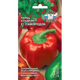 САМОРОДОК