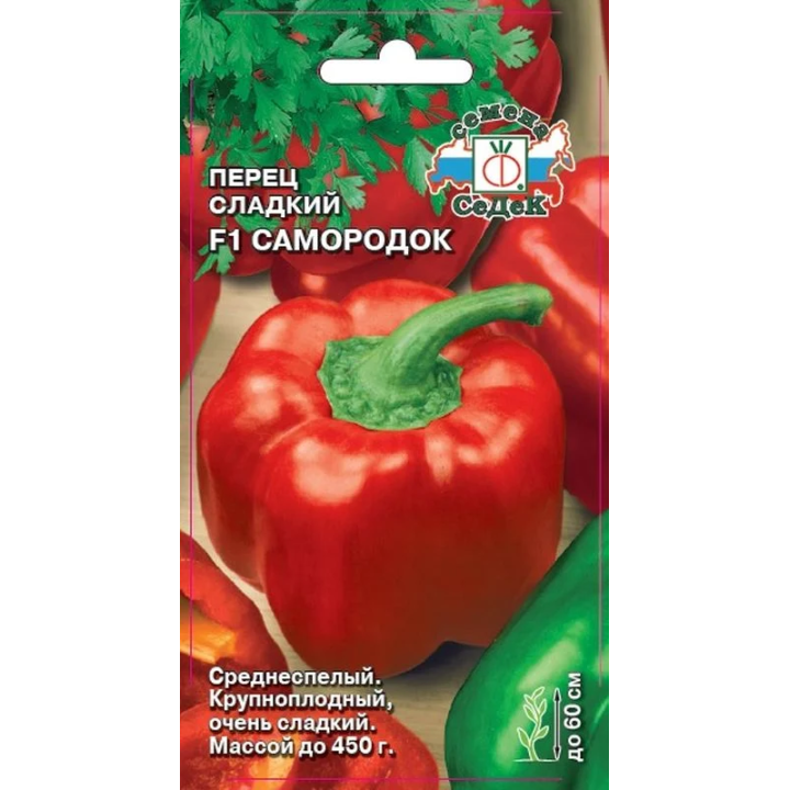 САМОРОДОК