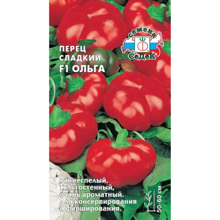 ОЛЬГА