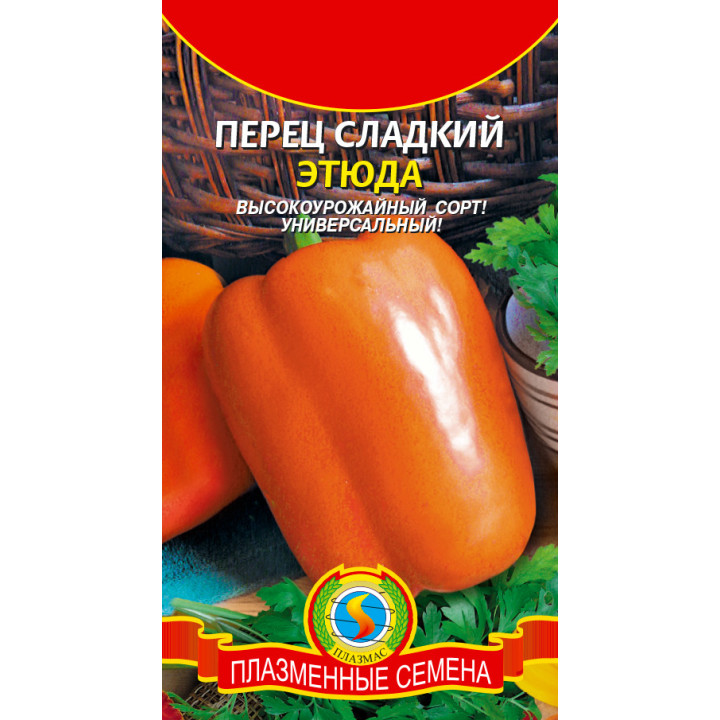 ЭТЮДА