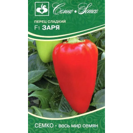 ЗАРЯ
