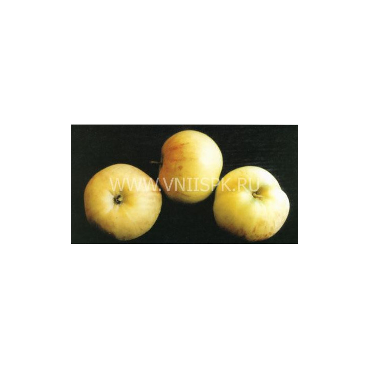 Надежда (Таганай)