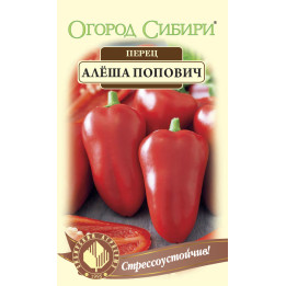 АЛЕША ПОПОВИЧ