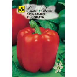 СОНАТА