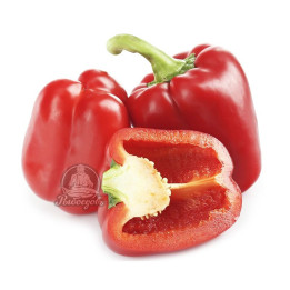 СВЕЖЕСТЬ