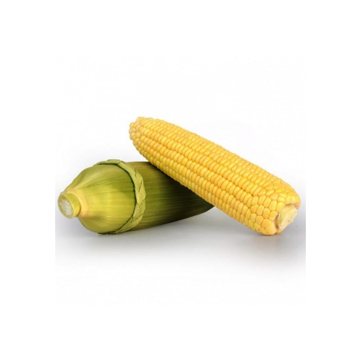 Ф 80 СМС
