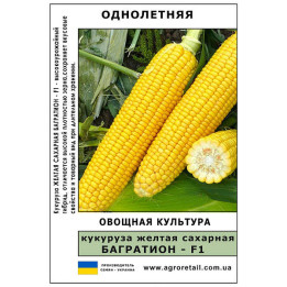 Ф 60 СМС