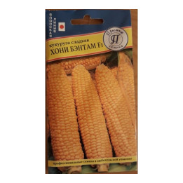 3231