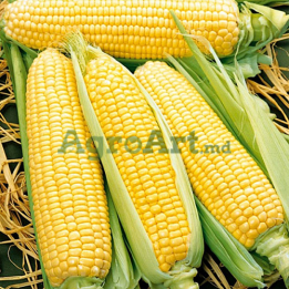 ФВИ 642